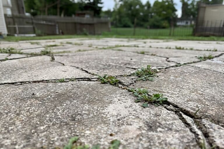 Cracked deteriorating concrete patio slab with weeds growing through fissures